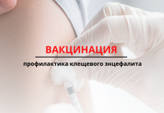 Вакцинация. Профилактика клещевого энцефалита вакциной 